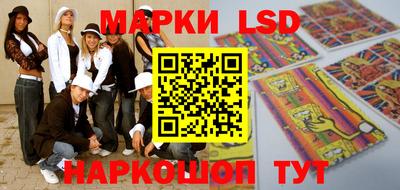 шишки Кандалакша