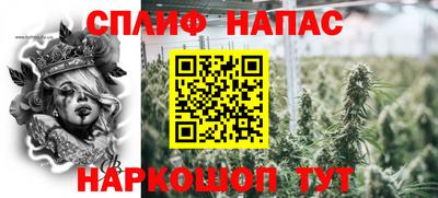 шишки Кандалакша