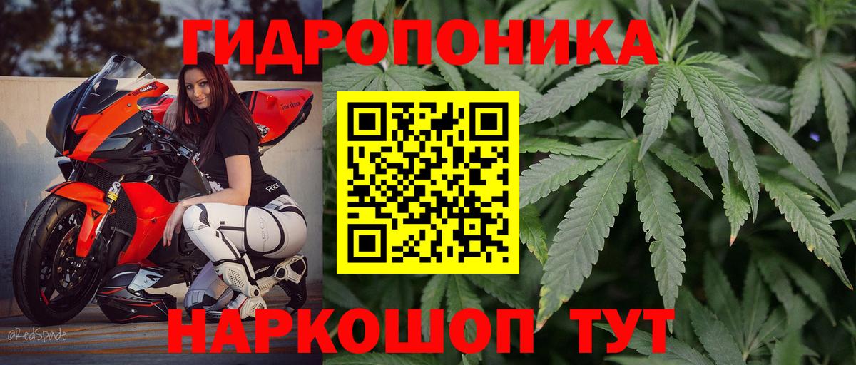 Каннабис индика Алексин